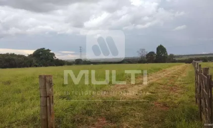 Terreno comercial para alugar na Área Rural de Uberlândia, Uberlândia  por R$ 5.000