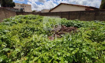 Terreno comercial à venda em Saraiva, Uberlândia  por R$ 650.000