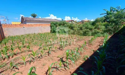 Terreno comercial à venda no Marta Helena, Uberlândia  por R$ 350.000