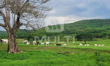 Terreno comercial à venda na Área Rural de Uberlândia, Uberlândia  por R$ 2.800.000