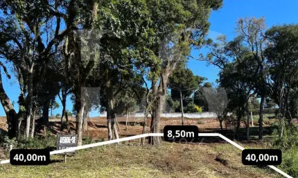 Terreno à venda na Rua Filadélfia, Santa Cruz, Guarapuava