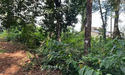 Venda de lote no Condomínio Gran Royalle em Casa Branca.