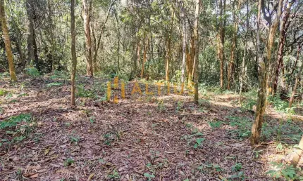 Lote em Condomínio - Jardins Petrópolis - Nova Lima/MG