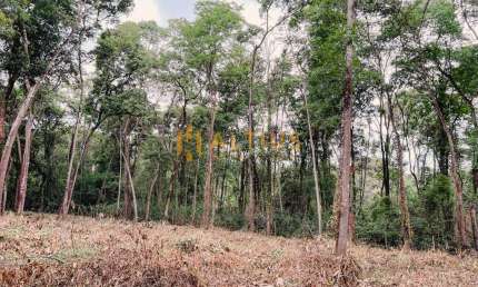 Terreno à venda na Rua Caminho Do Jacu, S/N, Palhano, Brumadinho