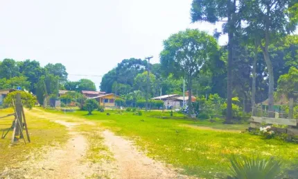 Chácara / sítio com 3 quartos à venda na Mato Grosso, 826, Mineiros, Balsa Nova por R$ 750.000