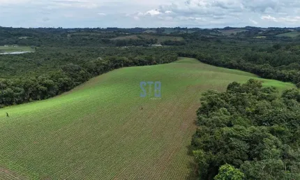 Terreno à venda na dos Imigrantes, 22, Colônia Balbino Cunha, Campo Largo por R$ 3.000.000