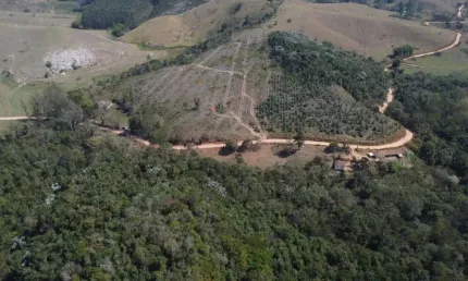 OPORTUNIDADE - FAZENDA A VENDA - 30 ALQUEIRES PAULISTA