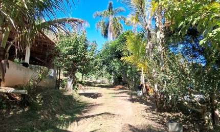 Chácara / sítio com 1 quarto à venda no Braz Caxi, Santa Branca 