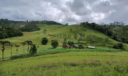 Fazenda à venda no Centro, Natividade da Serra 