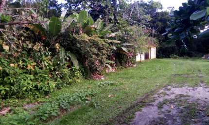 Terreno à venda no Balneário Gaivota, Itanhaém 