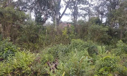Terreno à venda no Balneário Gaivota, Itanhaém 