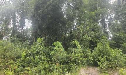 Terreno à venda na Vila Parque Fluvial, Itanhaém 