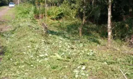 Terreno à venda na Avenida Flacides Ferreira, 796, Balneário Gaivota, Itanhaém