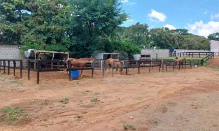 Terreno à venda na Alameda Egito, Parque das Bandeiras 2, Indaiatuba