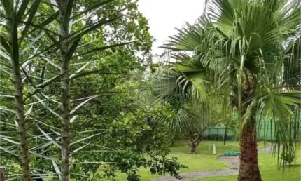 Chácara com 3 quartos à venda em recreio campestre jóia - sp