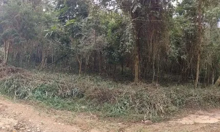 Terreno para Venda em Nova Friburgo, CAMPO DO COELHO