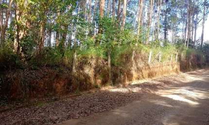 Terreno à venda na Rua Joé Bonin, Braunes, Nova Friburgo