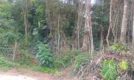 Terreno à venda na Ladeira Robadey, 496, Centro, Nova Friburgo