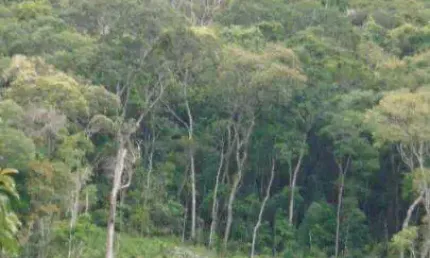 Terreno à venda no Mury, Nova Friburgo 