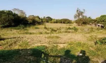 Terreno à venda na Rua Benedito Vieira Do Amaral, s/n, Vila São João, Sarapuí