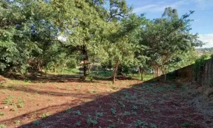 Terreno comercial para alugar no Ribeirânia, Ribeirão Preto 