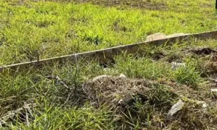 Terreno misto de 1.762 m² para alugar no jardim botânico, zona sul de ribeirão preto