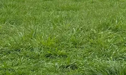 Terreno de 1.041 m² à venda no condomínio residencial jardim canadá, zona sul de ribeirão preto