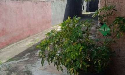 Terreno à venda em São Caetano do Sul-SP, bairro Barcelona, 500m² de área. Aproveite essa oportunidade!