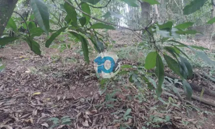 Terreno à venda na Travessa São Luís, Jardim Boa Vista, Barra Mansa