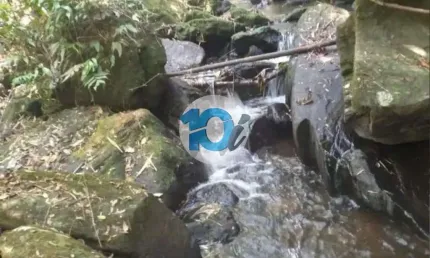 Chácara / sítio à venda na Estrada Sentido Taboão - Distrito De Bom Jardim De Minas, Taboão, Bom Jardim de Minas
