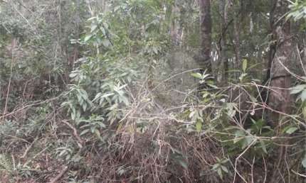 Terreno à venda na Das Paineiras, Sausalito, Mairiporã