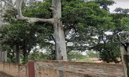 Terreno à venda na Rua Capitão Luís Rodrigues de Albuquerque, Tremembé, São Paulo