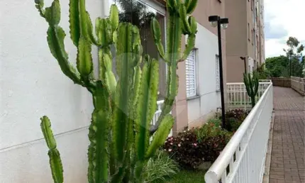 Apartamento com 2 quartos à venda em vila amália (zona norte) - sp