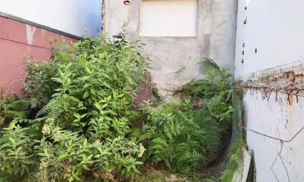 Terreno à venda na Rua Piatá, Vila Guilherme, São Paulo