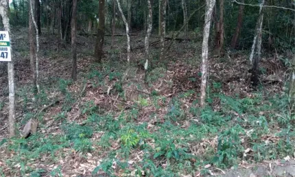 Casa em condomínio fechado à venda na Das Gaivotas, Caraguatá, Mairiporã