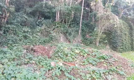 Casa em condomínio fechado à venda na Das Gaivotas, Caraguatá, Mairiporã