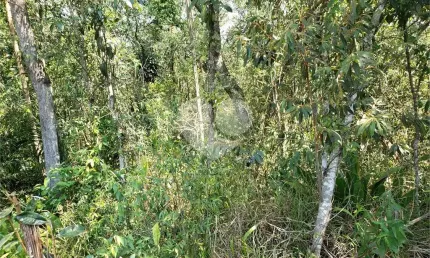 Casa em condomínio fechado à venda na Vereador Belarmino Pereira De Carvalho, Roseira, Mairiporã