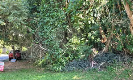 Casa em condomínio fechado à venda na Caraguatá, Serra da Cantareira, Mairiporã