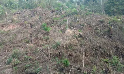 Casa em condomínio fechado à venda na Doutor Arthur Andrade Filho, Caraguatá, Mairiporã