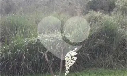 Casa em condomínio fechado à venda na Serra De Bragança, Rio Abaixo, Mairiporã