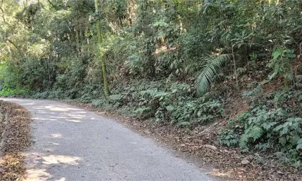 Terreno à venda na Itália, Serra da Cantareira, Mairiporã