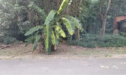 Casa em condomínio fechado à venda na Das Gaivotas, Serra da Cantareira, Mairiporã