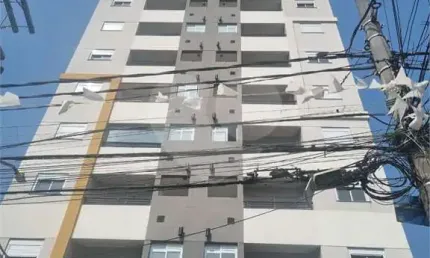 Apartamento com 2 quartos à venda ou para locação em vila paulicéia - sp