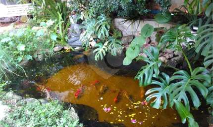 Sobrado com 3 quartos à venda em Vila Albertina - SP