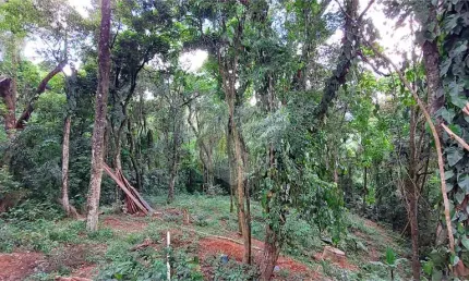 Casa em condomínio fechado com 2 quartos à venda na Doutor Arthur Andrade Filho, Caraguatá, Mairiporã