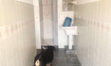 Sobrado com 2 quartos à venda em Jardim Paraíso - SP