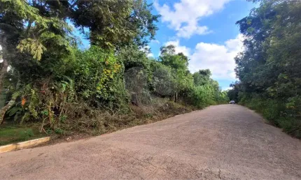 Casa em condomínio fechado à venda na Doutor Arthur Andrade Filho, Caraguatá, Mairiporã