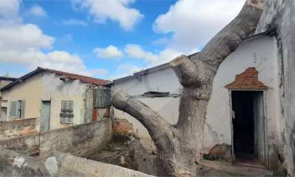 Terreno à venda na Avenida Caraurana, Vila Mazzei, São Paulo