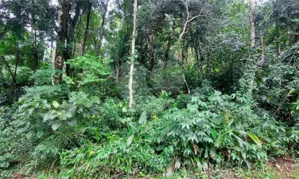 Casa em condomínio fechado à venda na Doutor Arthur Andrade Filho, Serra da Cantareira, Mairiporã
