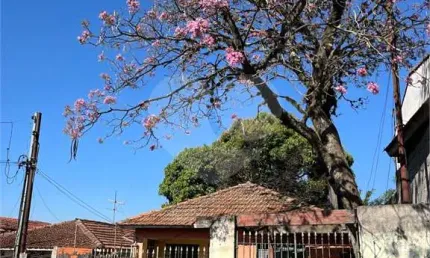Terreno com 1 quartos à venda em Vila João Batista - SP
